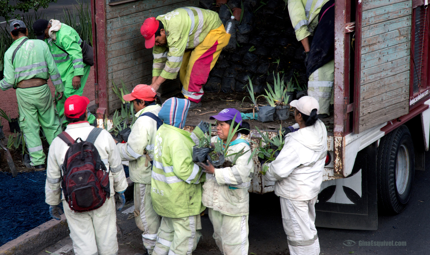 They who formed a community every morning while working hard.